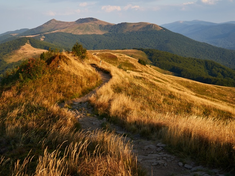 Bieszczady natuur