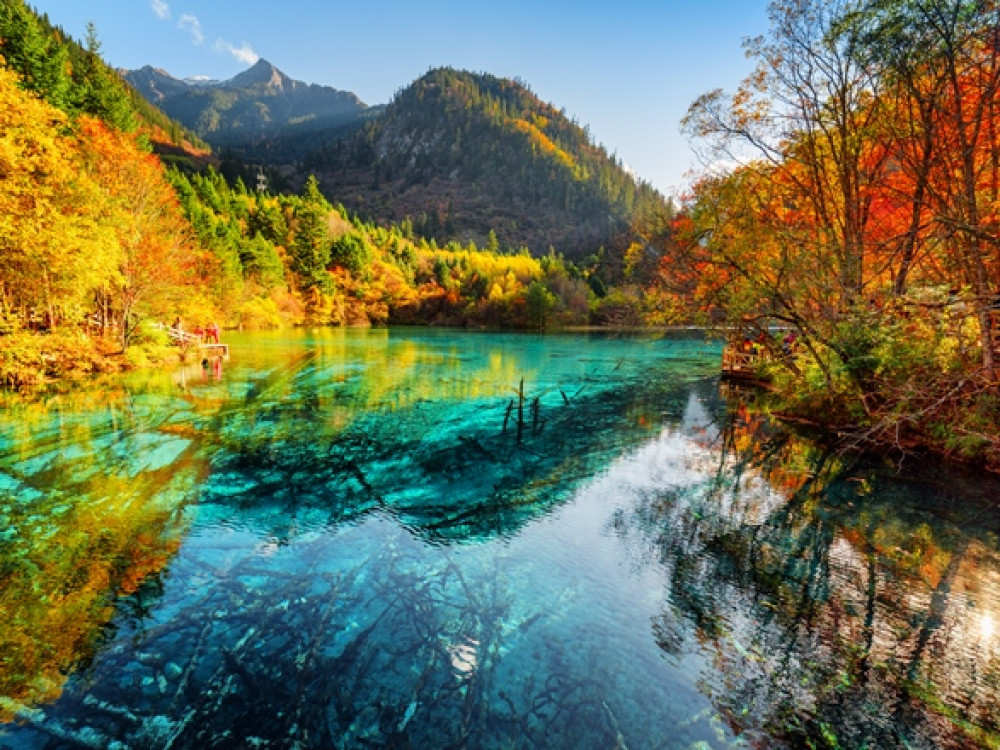 Five Flower Lake Jiuzhaigou