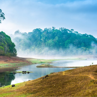 Afbeelding voor Periyar Nationaal Park in India