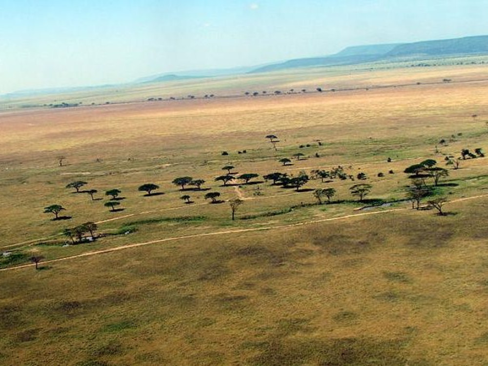 Arusha NP