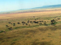 Arusha NP
