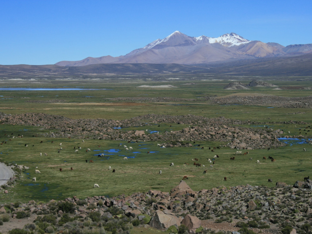 Lauca NP