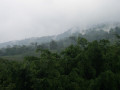 Omgeving Arenal