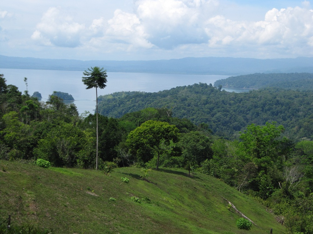 Corcovado