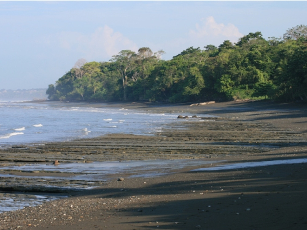 Strand bij Corcovado