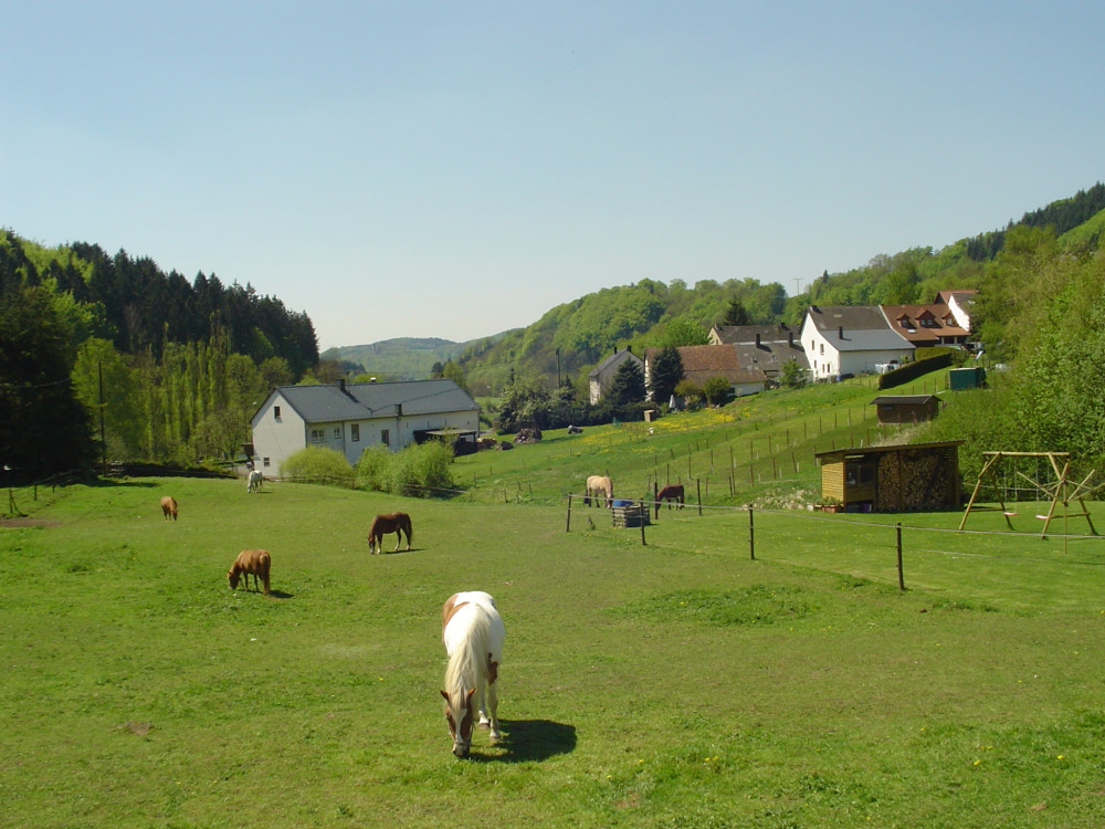 de Eifel