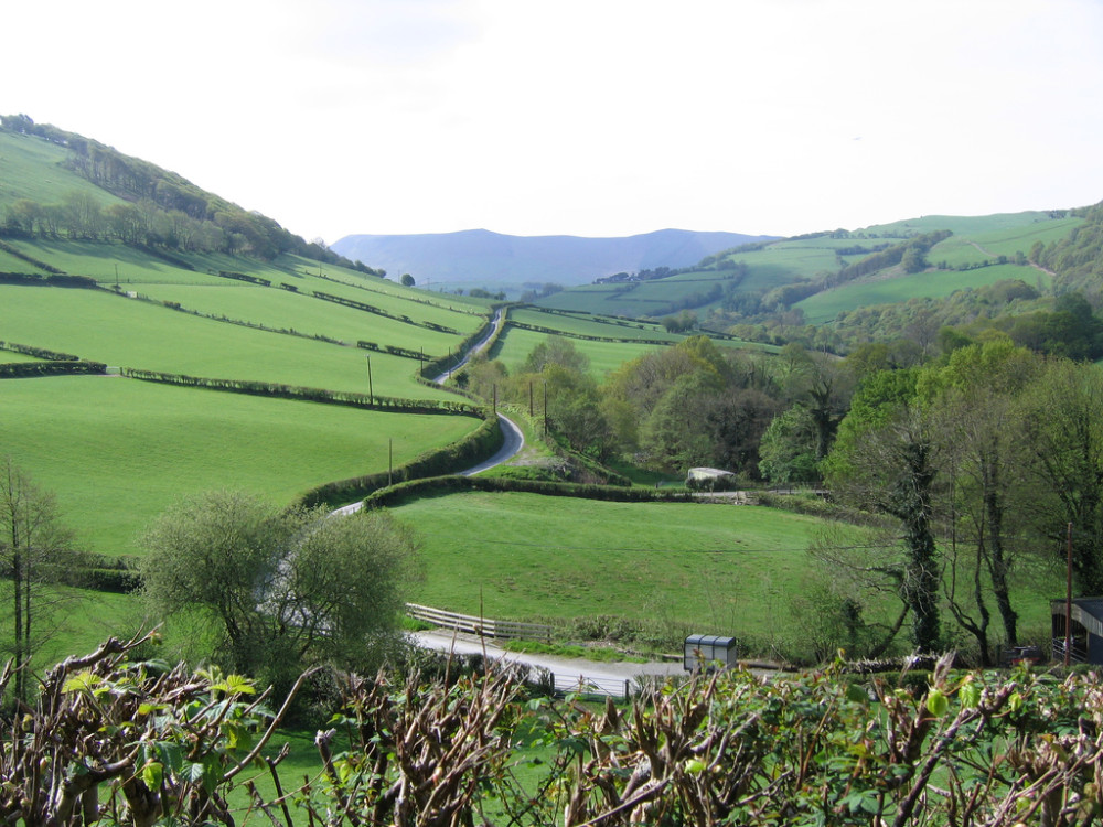 Cambrian Mountains