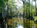Everglades National park