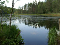 Nuuksio