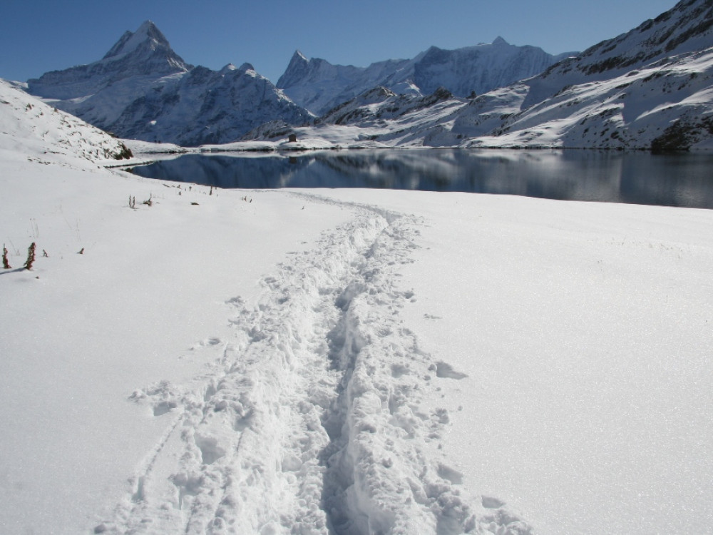 Bachalpsee in de sneeuw