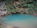 Belize natuur