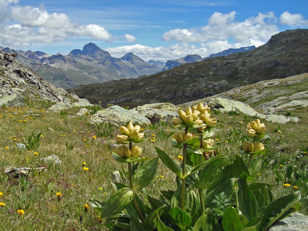 Juf, Graubünden