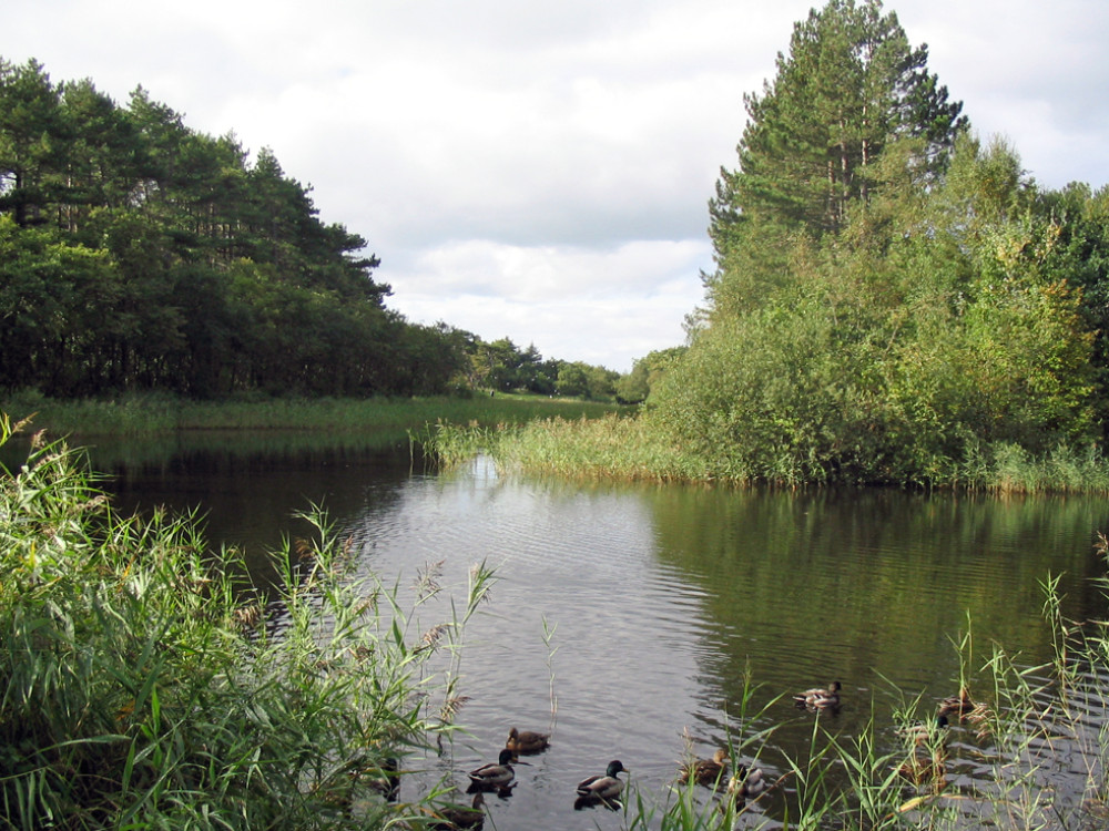 Verrassende natuur