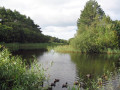 Verrassende natuur