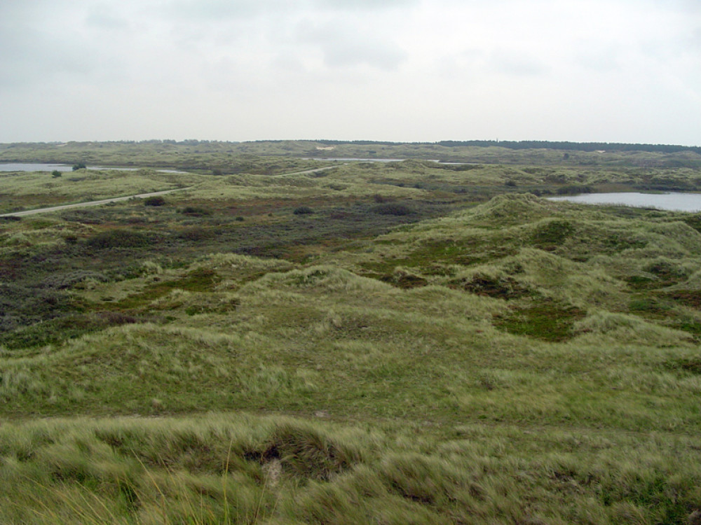 Natuur Terschelling