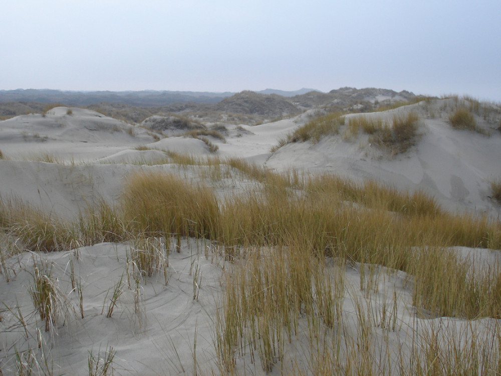 Borkum