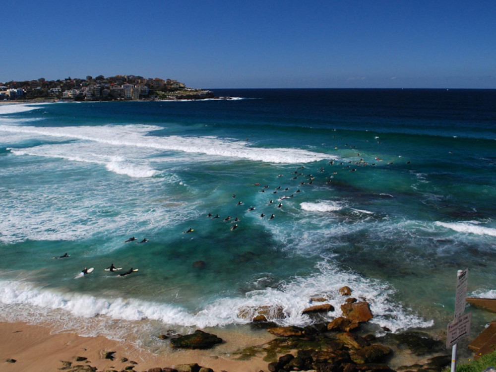 Surfers bij Bondi beach