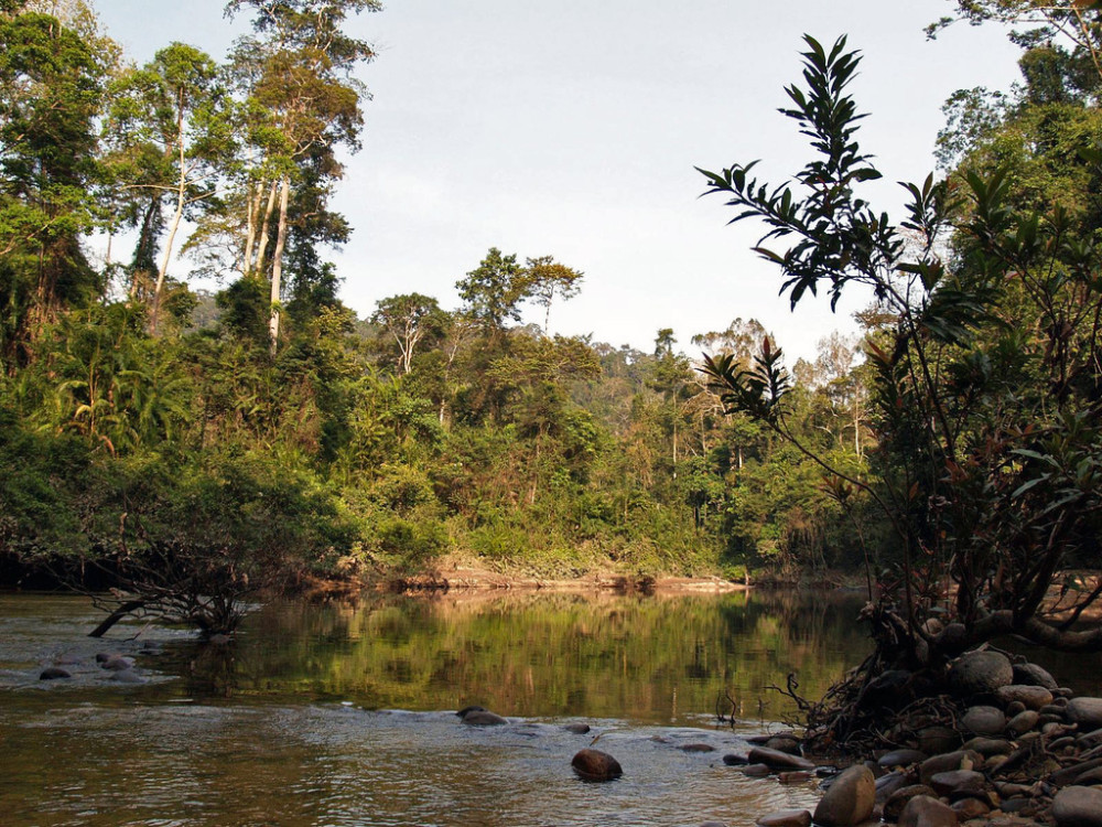 Taman Negara