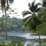 Afbeelding voor Corcovado National Park