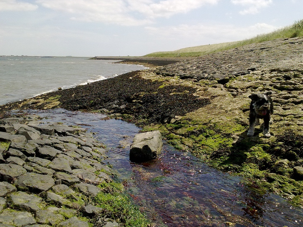 Oosterschelde