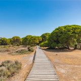 Afbeelding voor Costa de la Luz en Doñana National Park