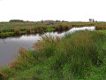 Alde Feanen