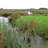 Afbeelding voor Nationaal Park De Alde Feanen