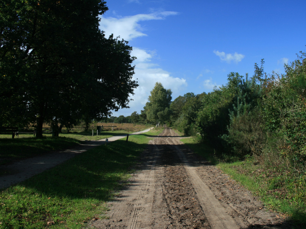 Paardrijden en fietsen