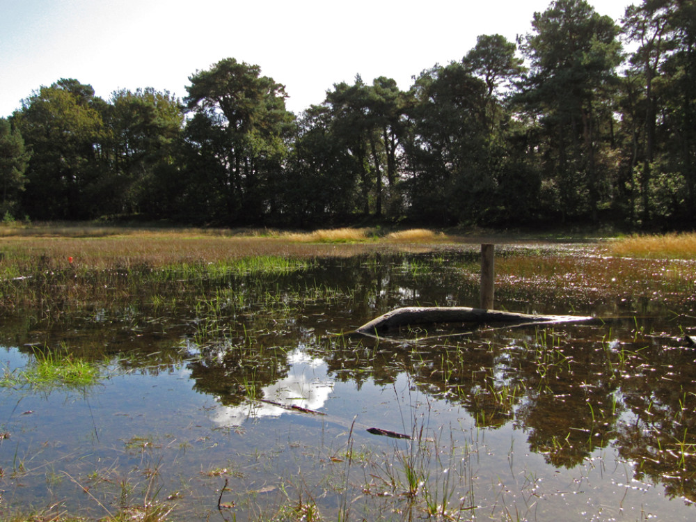 Weerspiegeling