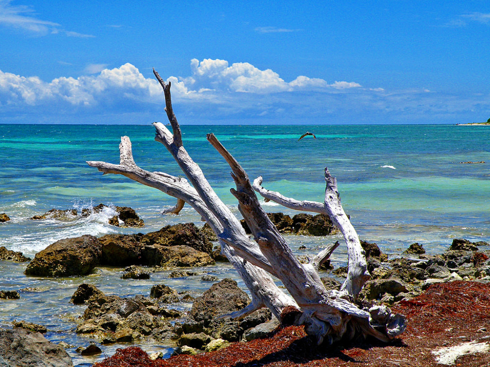 Bahia Honda State Park - Florida Keys