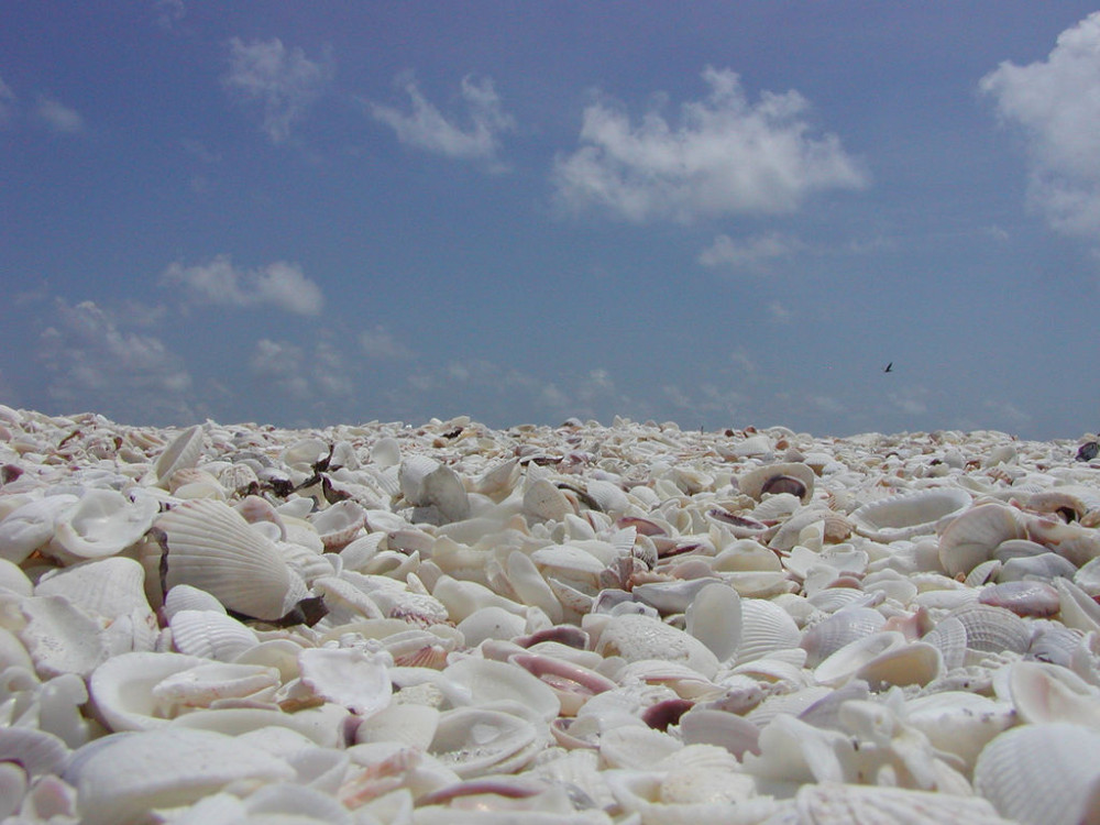 Sanibel schelpeneiland