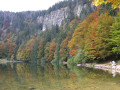 Feldsee