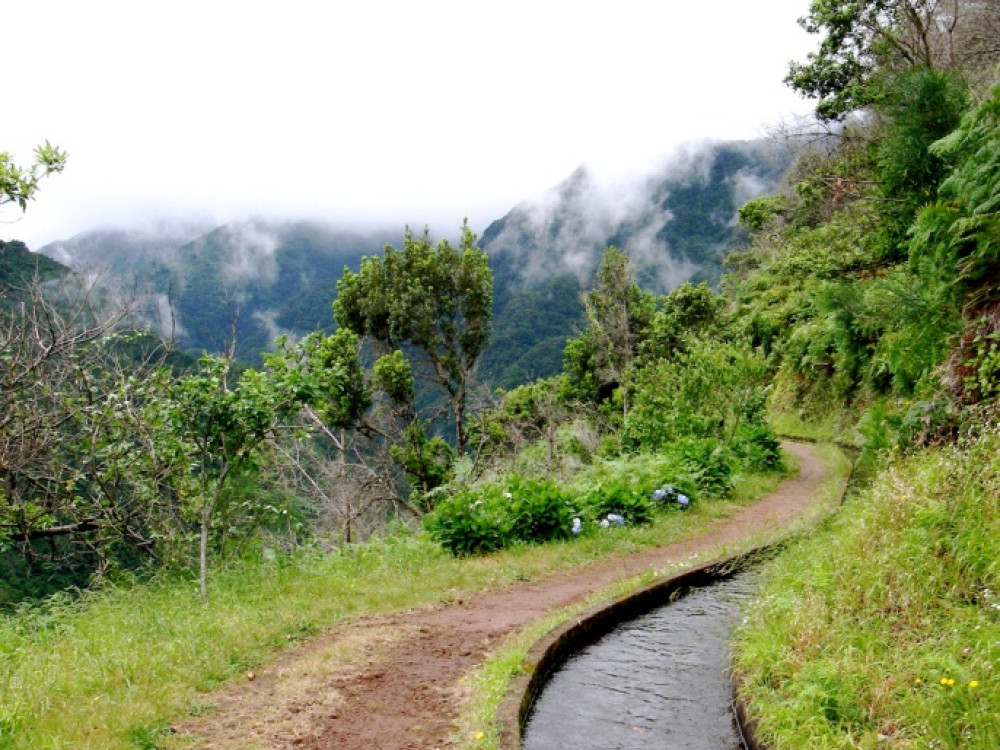 Levada Ribeira da Janela