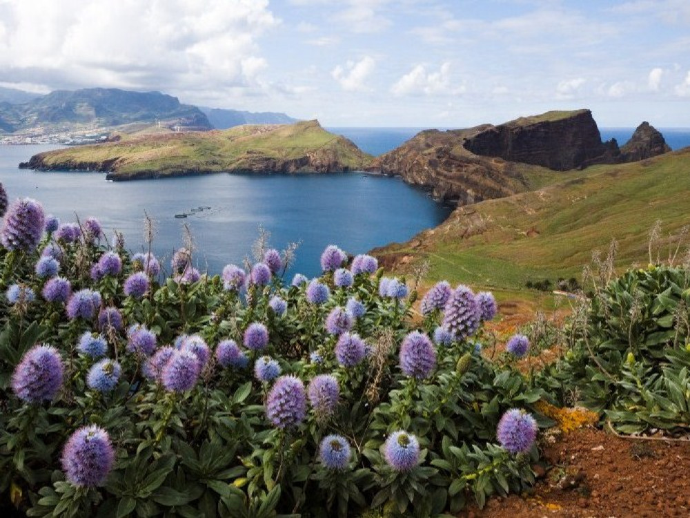 Bloemeneiland Madeira