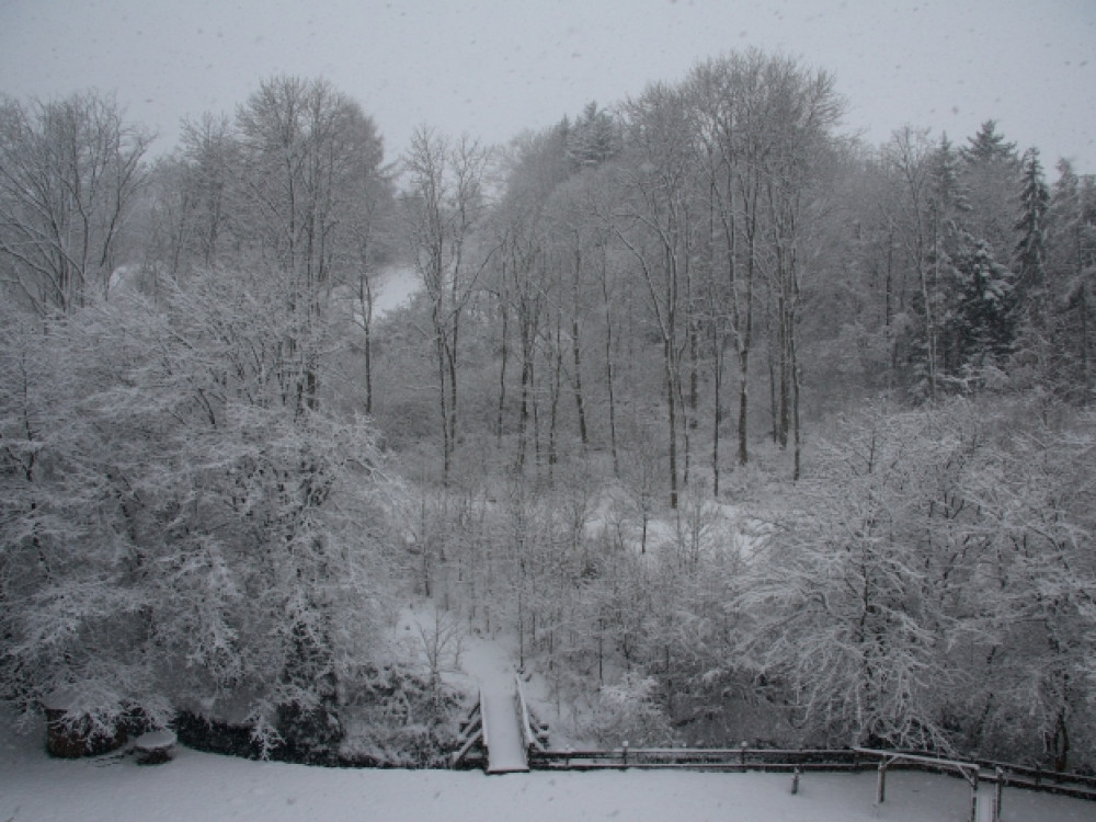 Winter in de Eifel