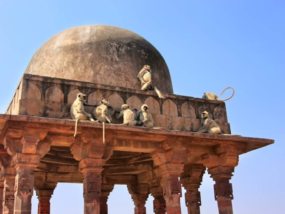 Ranthambore fort