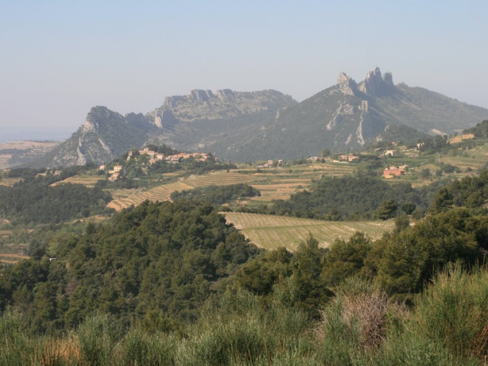 Dentelles de Montmirail