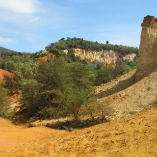 Afbeelding voor De Provence