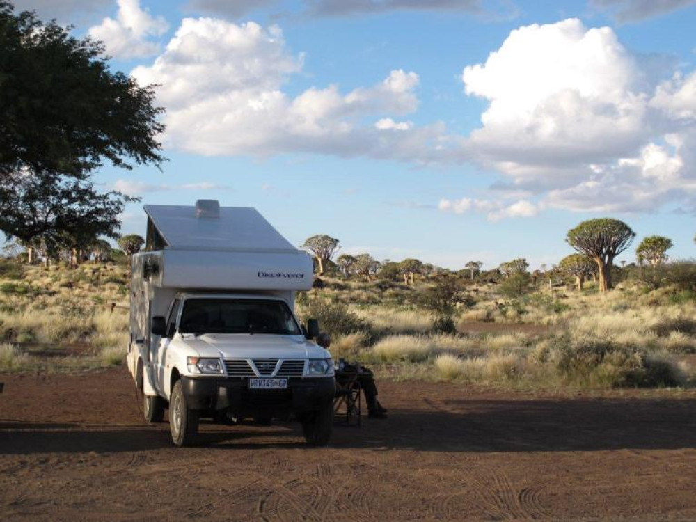 Quiver Trees camping