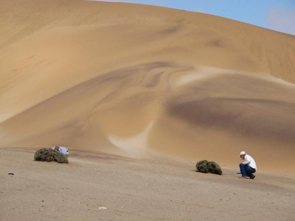 Woestijn excursie