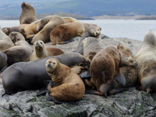 Afbeelding voor Ushuaia