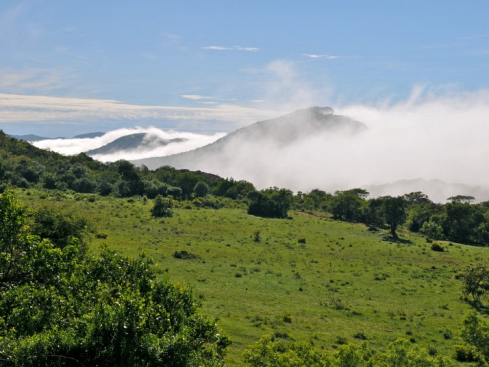 Duluni Valley