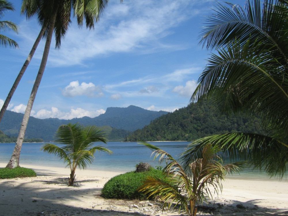 Kalimantan Borneo
