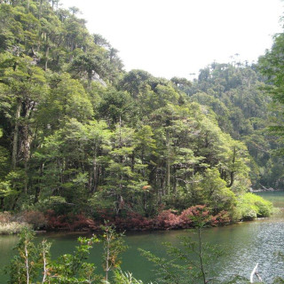 Afbeelding voor Pucon en Huerquehue National Park