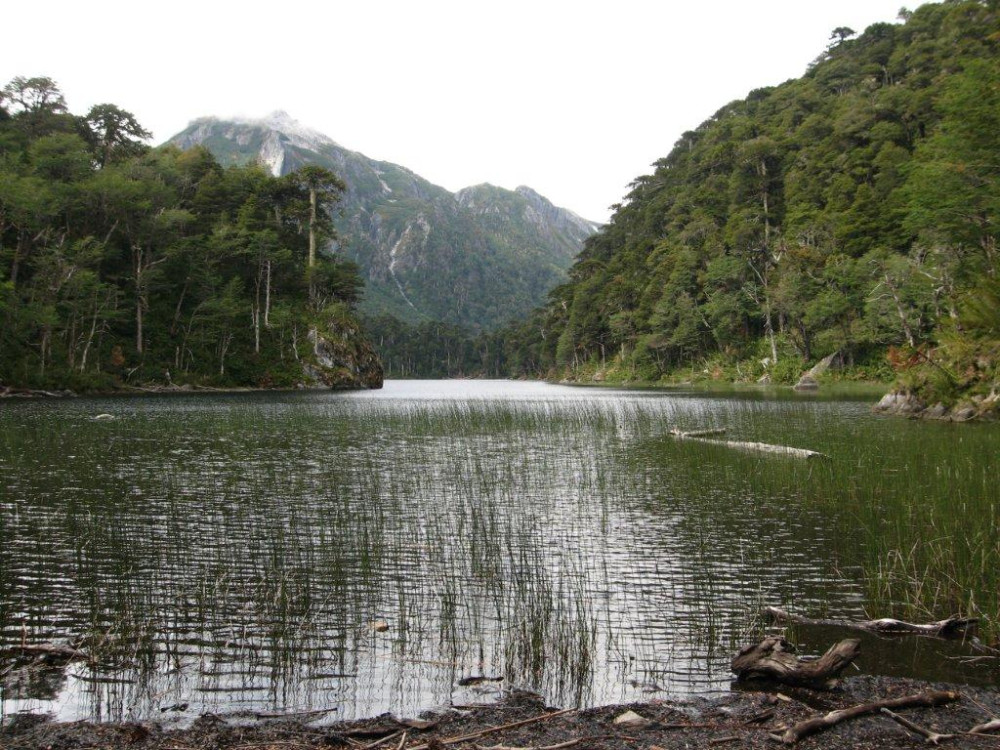 Huerquehue, Lago Chico