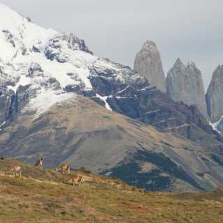 Afbeelding voor Torres del Paine