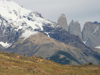 Afbeelding voor Torres del Paine