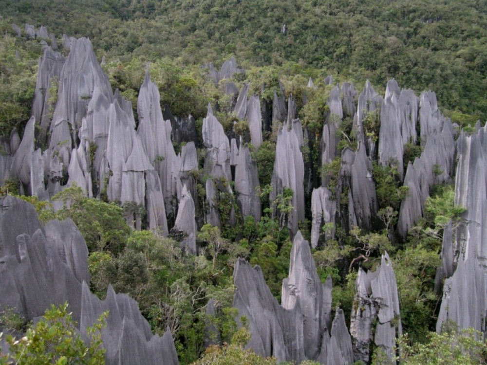 Gunung Mulu National Park