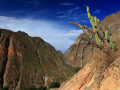 Natuur Colca Canyon