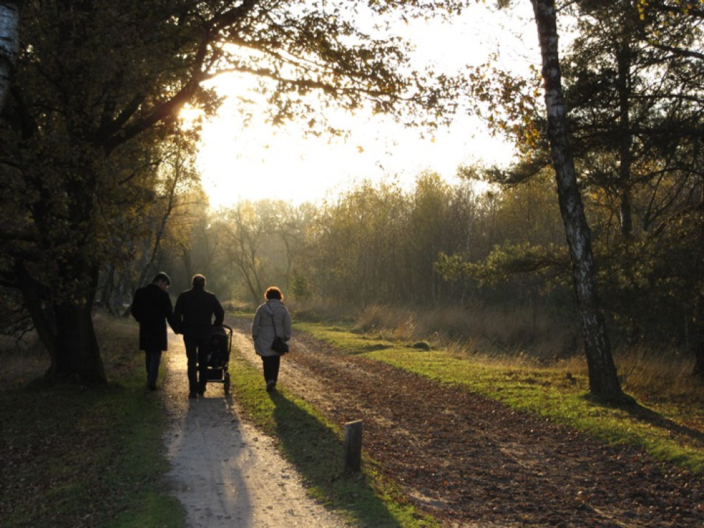 Wandelen Utrechtse Heuvelrug